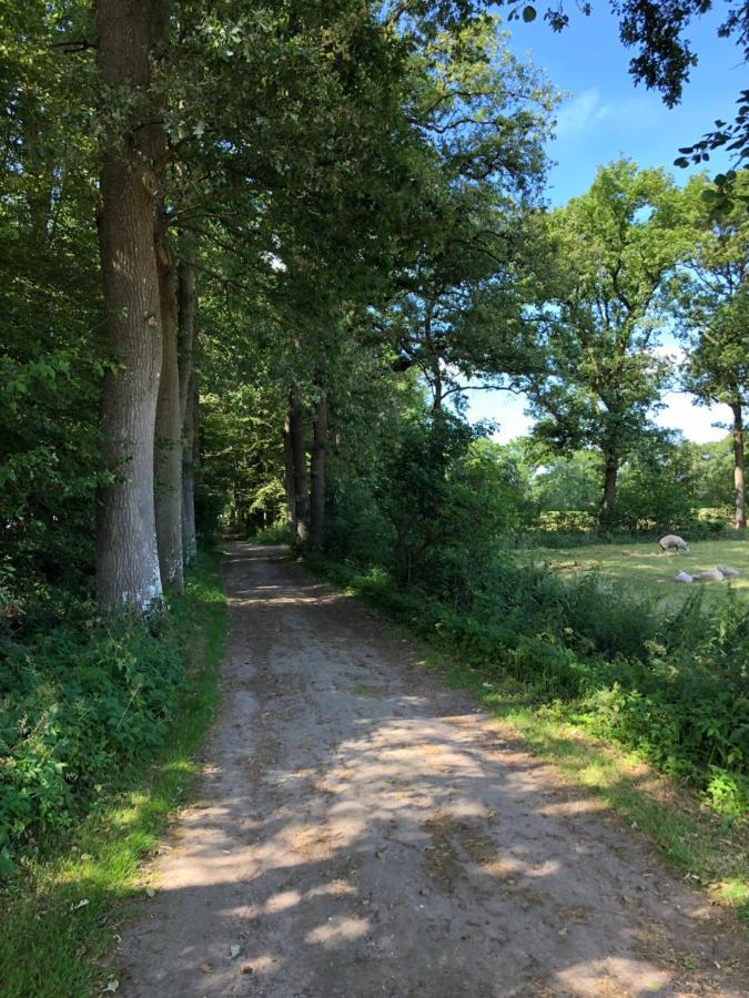 Villa Klein Bosland By Logeren Bij Saar Wijnjewoude Esterno foto