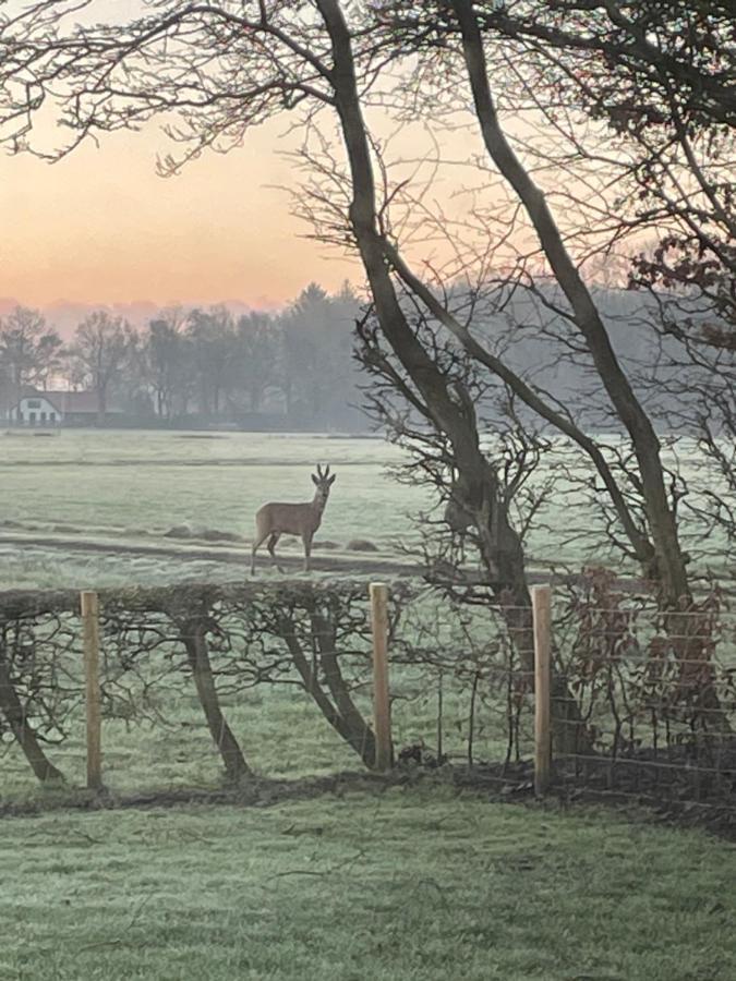 Villa Klein Bosland By Logeren Bij Saar Wijnjewoude Esterno foto