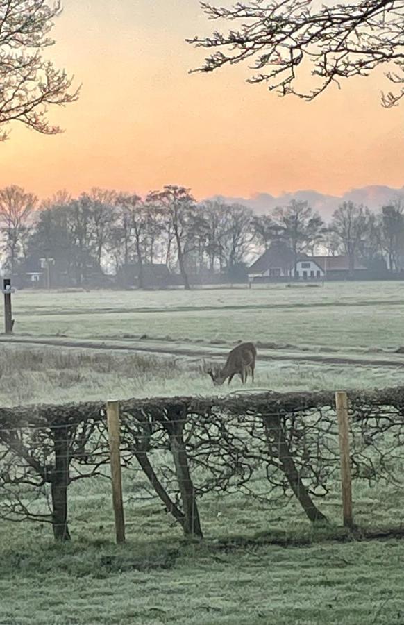 Villa Klein Bosland By Logeren Bij Saar Wijnjewoude Esterno foto