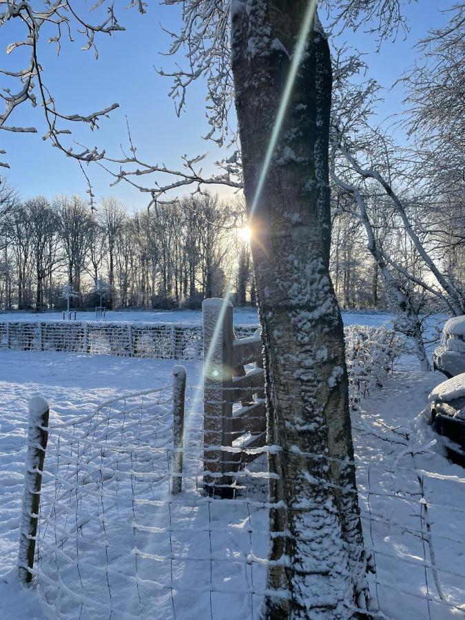 Villa Klein Bosland By Logeren Bij Saar Wijnjewoude Esterno foto