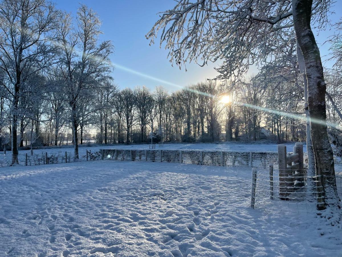 Villa Klein Bosland By Logeren Bij Saar Wijnjewoude Esterno foto
